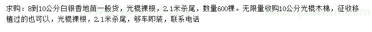 求購8-10公分白銀香、10公分光棍木棉
