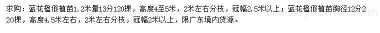 求購1.2米量12、13公分藍(lán)花楹
