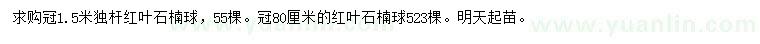 求購冠幅1.5米獨(dú)桿紅葉石楠球