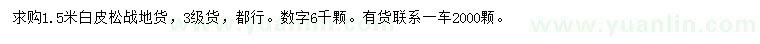 求購1.5米白皮松