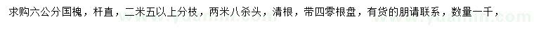 求購6公分國槐
