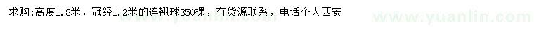 求購高1.8米連翹球