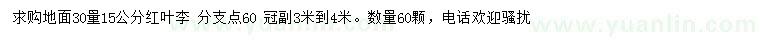 求購(gòu)地面30量15公分紅葉李