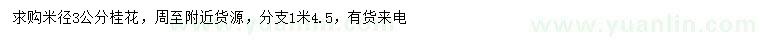 求購米徑3公分桂花