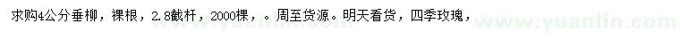 求購(gòu)4公分垂柳、四季玫瑰