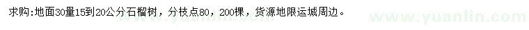 求購(gòu)地面30量15-20公分石榴樹