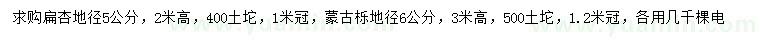 求購地徑5公分扁杏