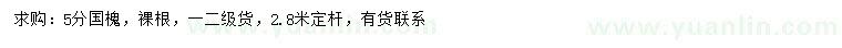 求購5公分國槐