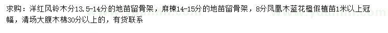 求購洋紅風鈴木、麻楝、鳳凰木等