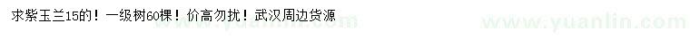 求購15公分紫玉蘭