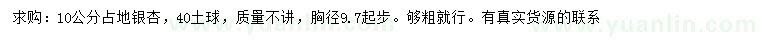 求購胸徑10公分銀杏
