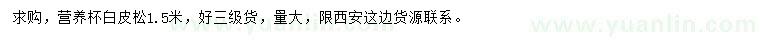 求購1.5米白皮松