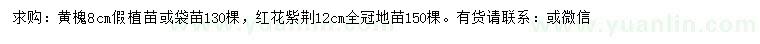 求購8公分黃槐、12公分紅花紫荊