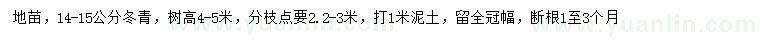 求購14-15公分冬青