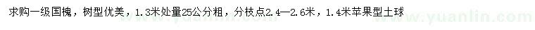 求購(gòu)1.3米量25公分國(guó)槐，樹(shù)型優(yōu)美綠化苗木