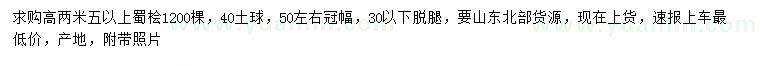 求購(gòu)高2.5米以上蜀檜