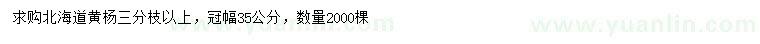 求購冠幅35公分北海道黃楊