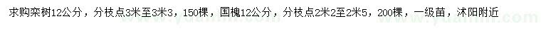 求購12公分欒樹、國槐