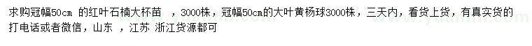 求購冠幅50公分大葉黃楊、紅葉石楠