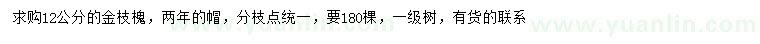 求購12公分金枝槐