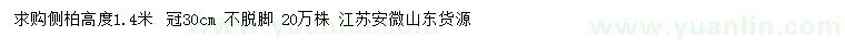 求購高1.4米側(cè)柏