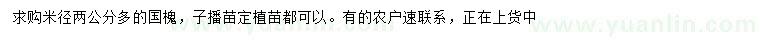 求購米徑2公分國槐