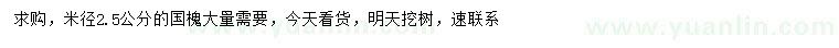 求購(gòu)米徑2.5公分國(guó)槐