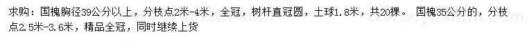 求購(gòu)胸徑35、39公分以上國(guó)槐