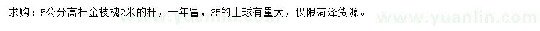 求購(gòu)5公分高桿金枝槐