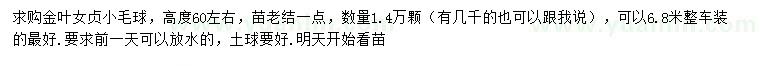 求購高60公分左右金葉女貞小毛球