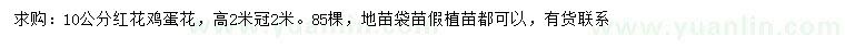 求購10公分紅花雞蛋花