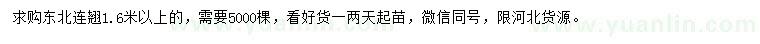 求購1.6米以上東北連翹