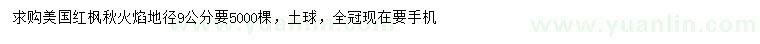 求購地徑9公分美國紅楓秋火焰
