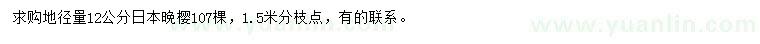求購地徑12公分日本晚櫻
