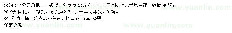 求購五角楓、國槐、榆葉梅