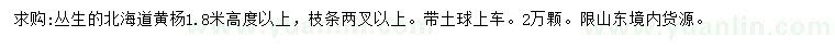 求購高1.8米以上叢生北海道黃楊