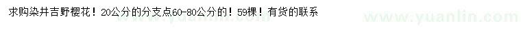 求購20公分染井吉野櫻花