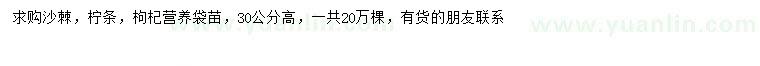 求購沙棘、檸條、枸杞