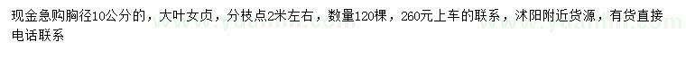 求購(gòu)胸徑10公分大葉女貞