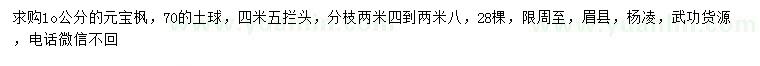 求購10公分元寶楓