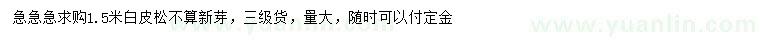 求購(gòu)1.5米白皮松