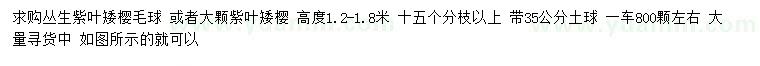 求購高1.2-1.8米叢生紫葉矮櫻毛球或紫葉矮櫻