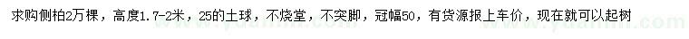 求購高1.7-2米側(cè)柏