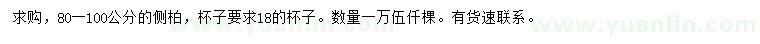 求購80-100公分側(cè)柏