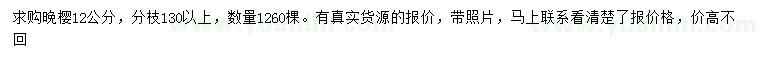 求購12公分晚櫻