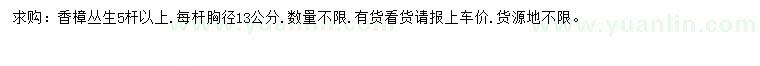 求購(gòu)胸徑13公分叢生香樟