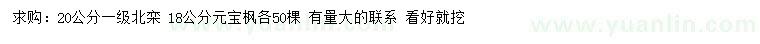 求購(gòu)20公分北欒、18公分元寶楓