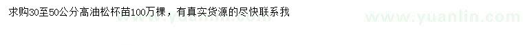 求購高30-50公分油松