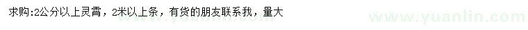 求購2公分以上靈霄