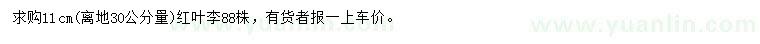 求購(gòu)30公分量11公分紅葉李